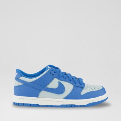 Dunk Low Youth White Blue Platinum Leather Sneakers