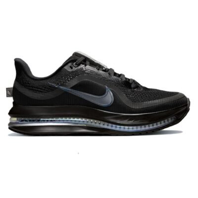 Womens Nike Pegasus Premium Black / Metallic Silver / Black / Us 8